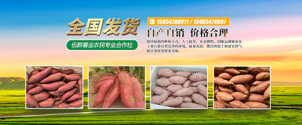 梁山伍群薯业农民专业合作社