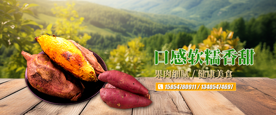 梁山伍群薯业农民专业合作社