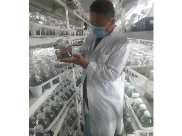 技术考察
